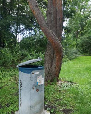 Eine Mülltonne in einem grünen Park